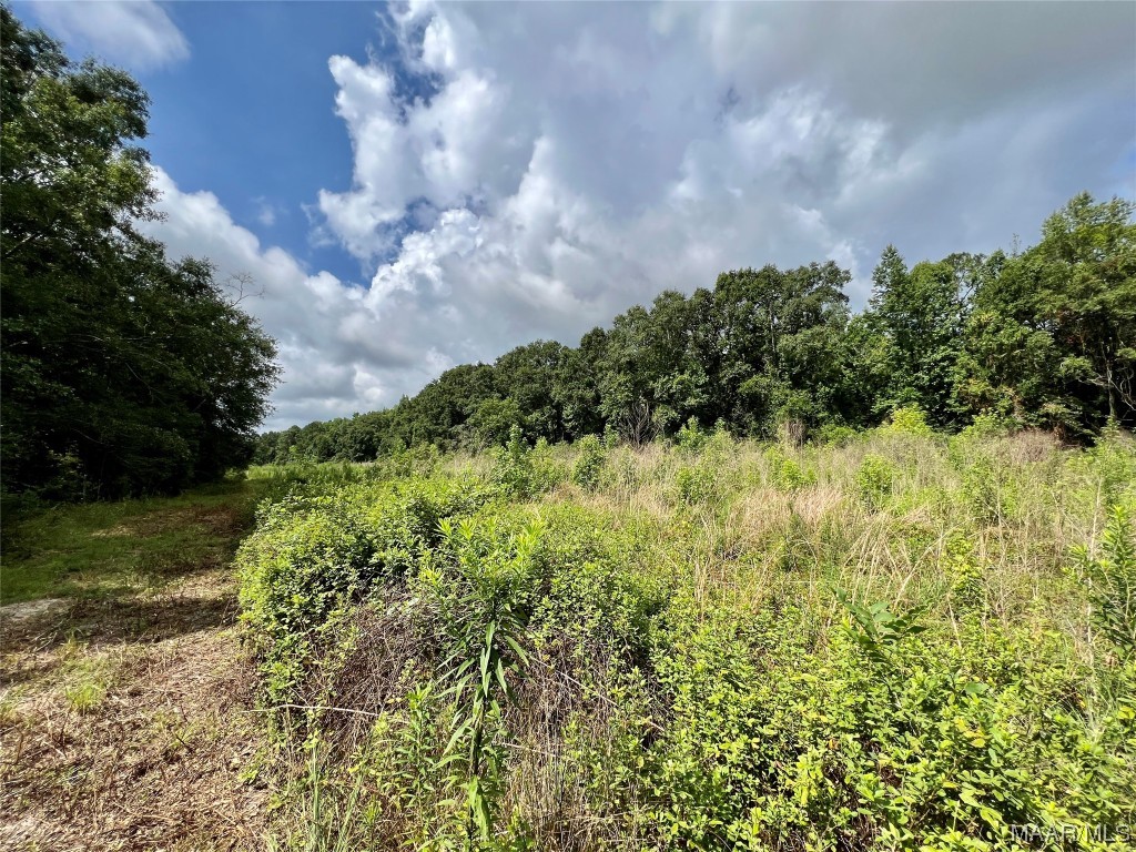 43ac County Rd 4 .