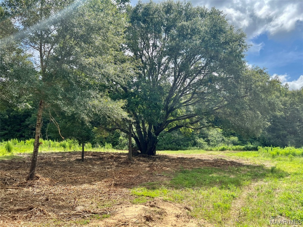 43ac County Rd 4 .