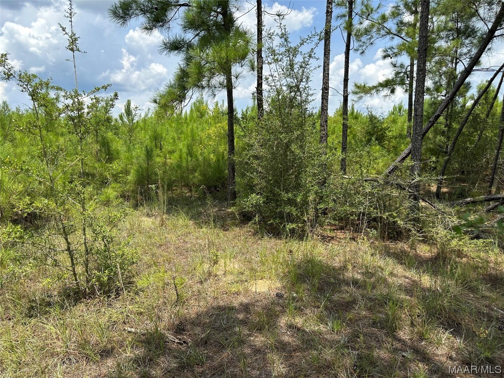 5 acres Old Elba Road