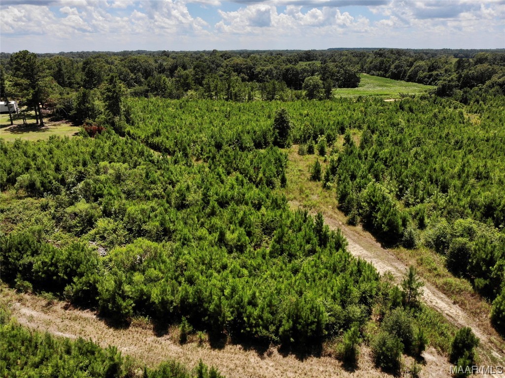 5 acres Old Elba Road