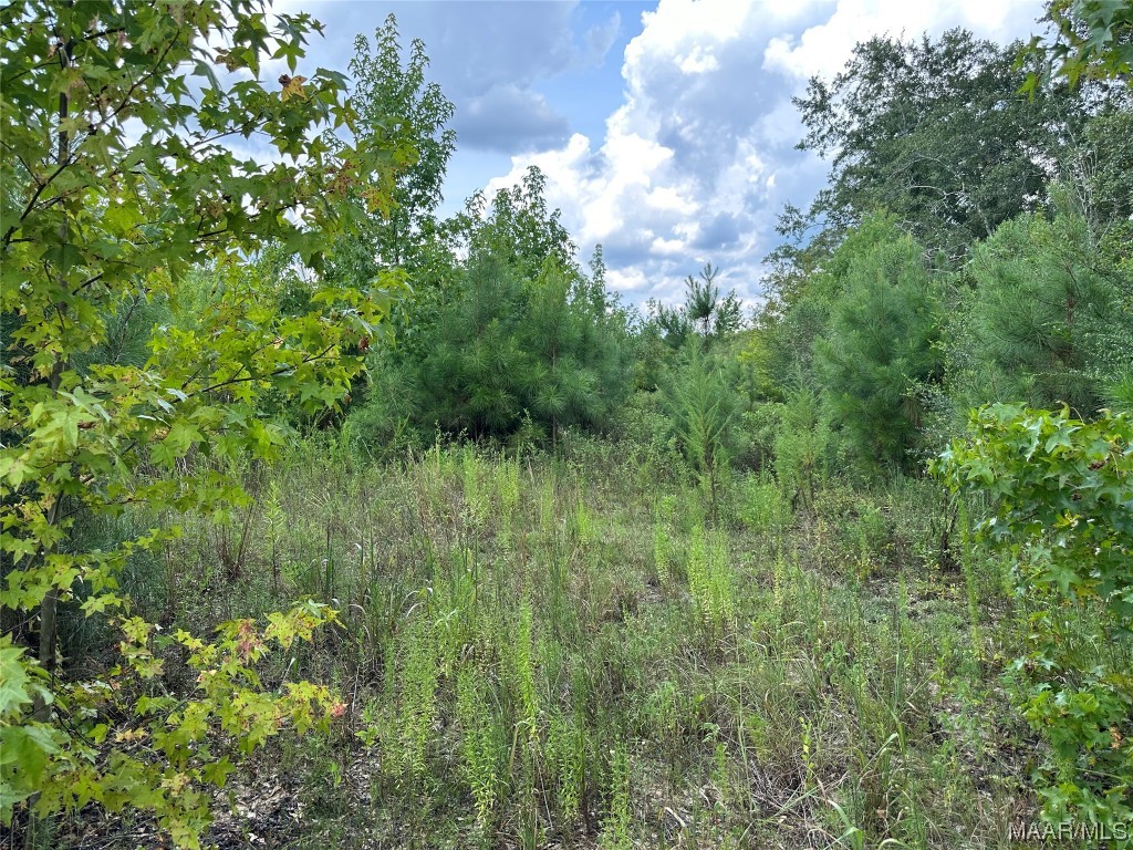 5 acres Old Elba Road