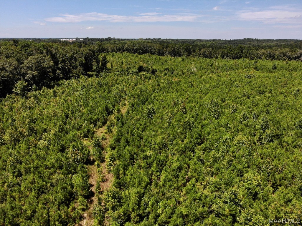 5 acres Old Elba Road