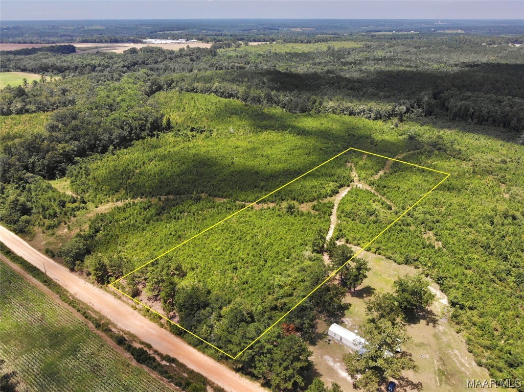 5 acres Old Elba Road