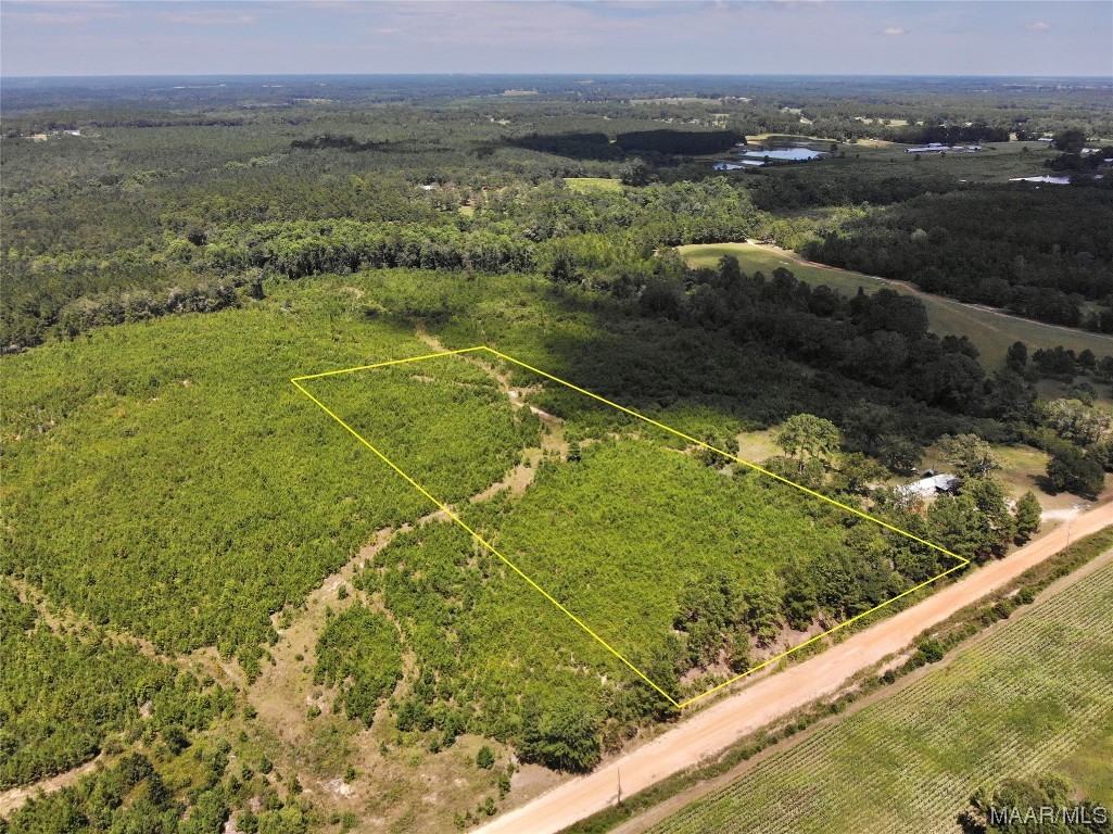 5 acres Old Elba Road