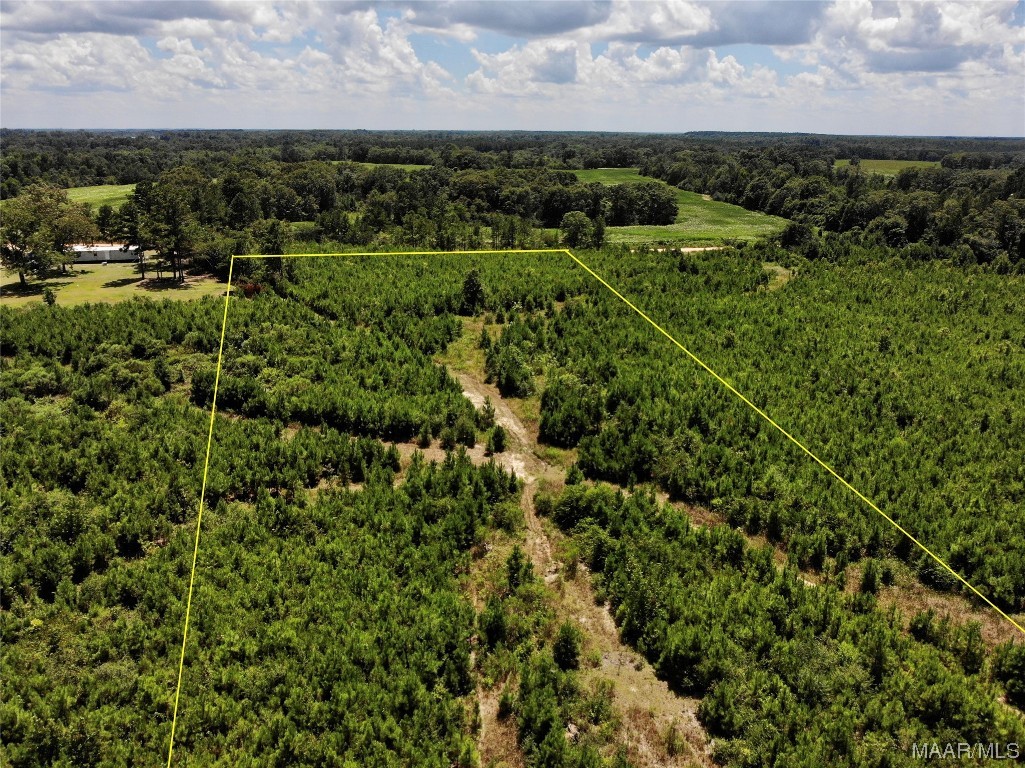 5 acres Old Elba Road