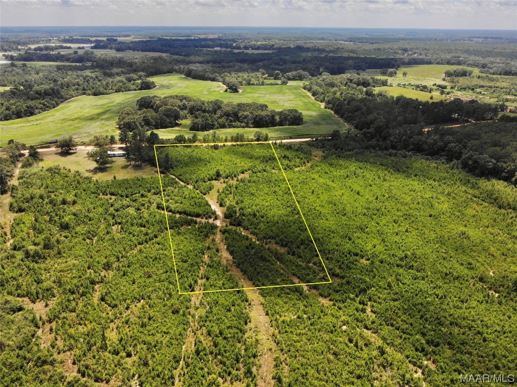5 acres Old Elba Road