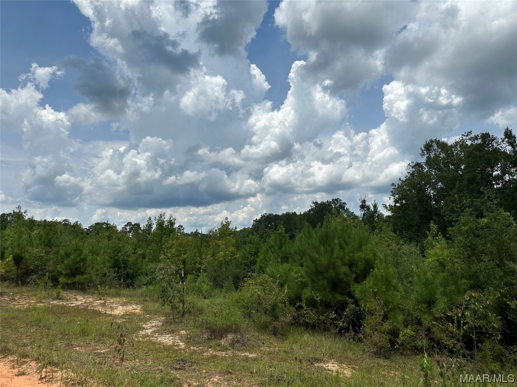 30 W Old Elba Road