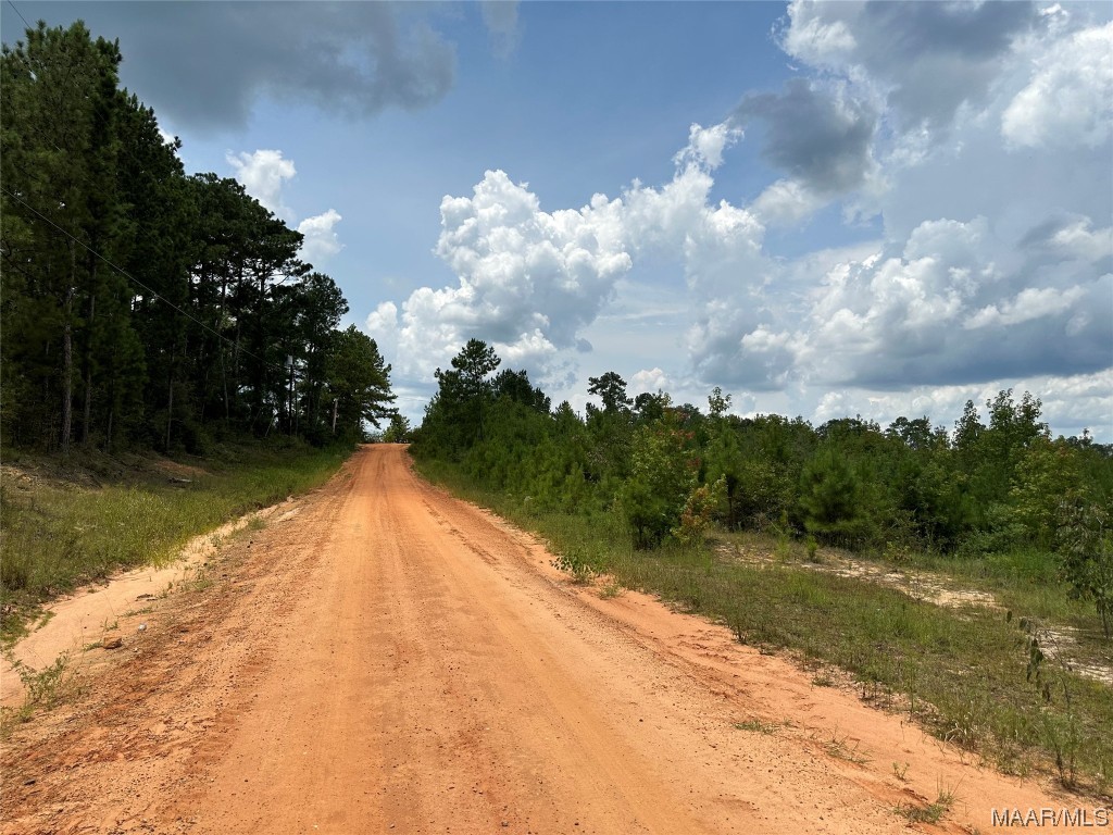 30 W Old Elba Road