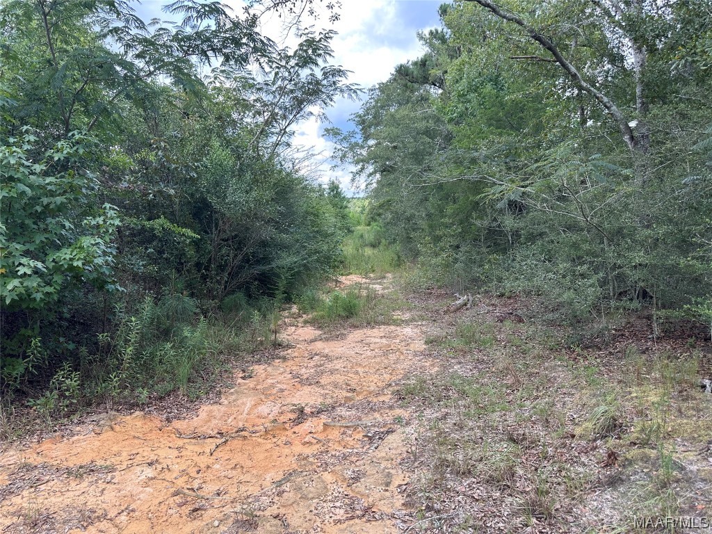 6 acres Old Elba Road