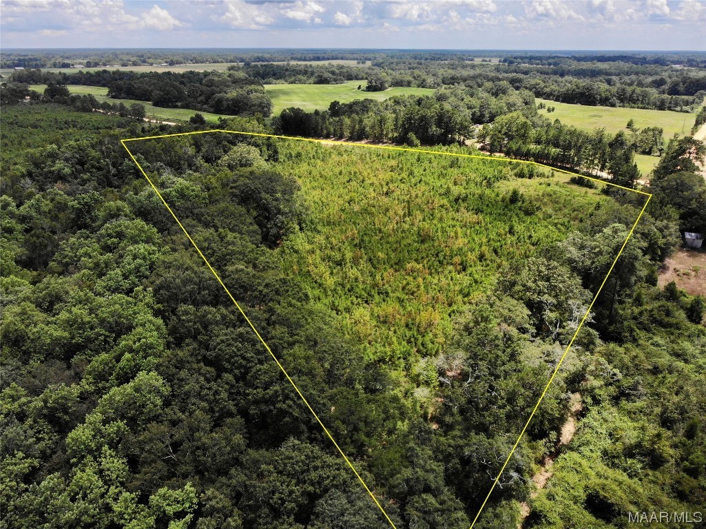 6 acres Old Elba Road