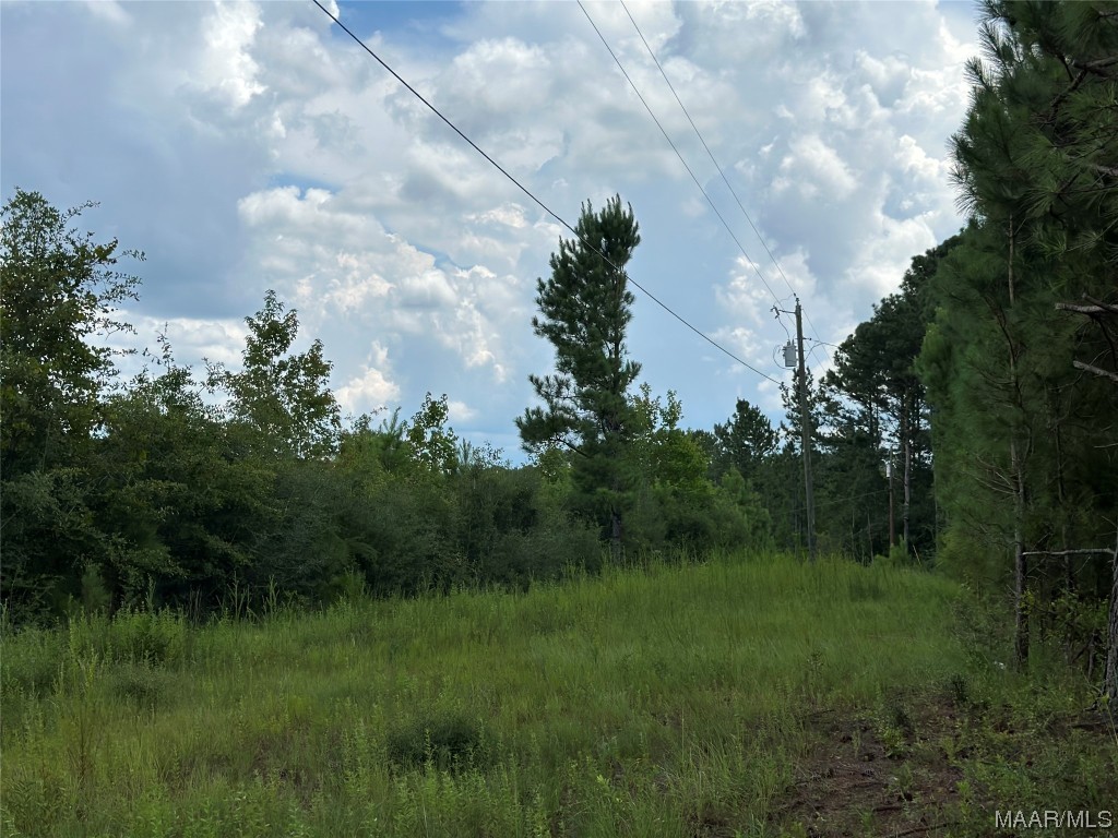6 acres Old Elba Road