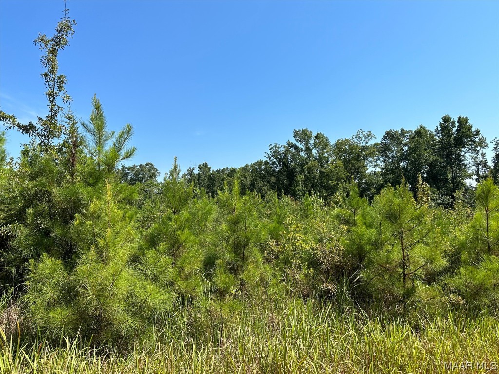 6 acres Old Elba Road