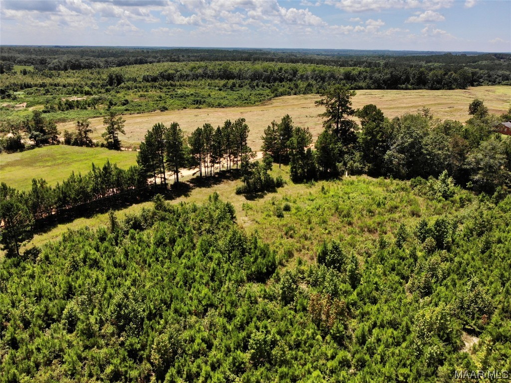 6 acres Old Elba Road