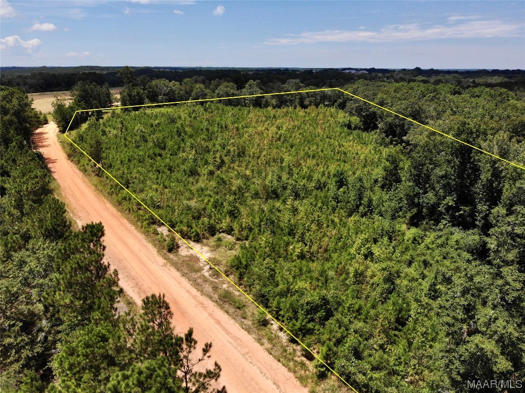 6 acres Old Elba Road