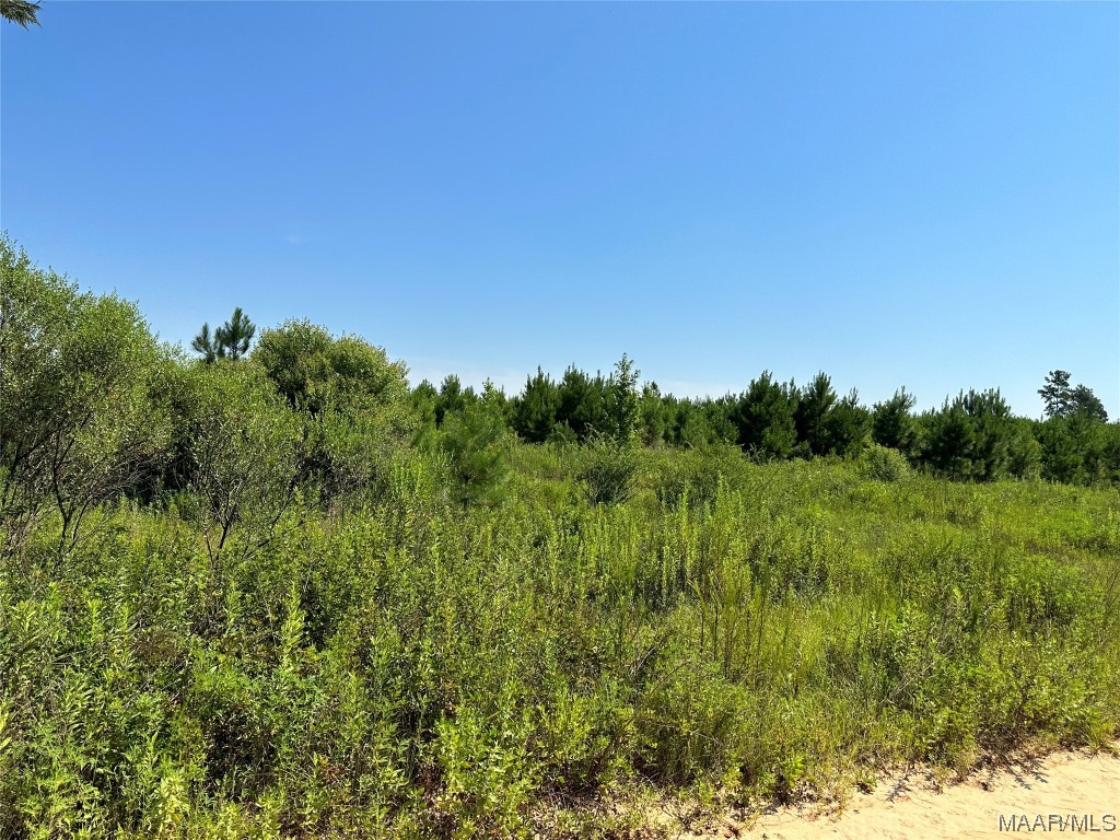 6 acres Old Elba Road