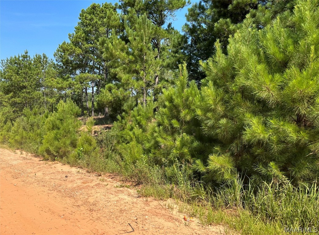 6 acres Old Elba Road