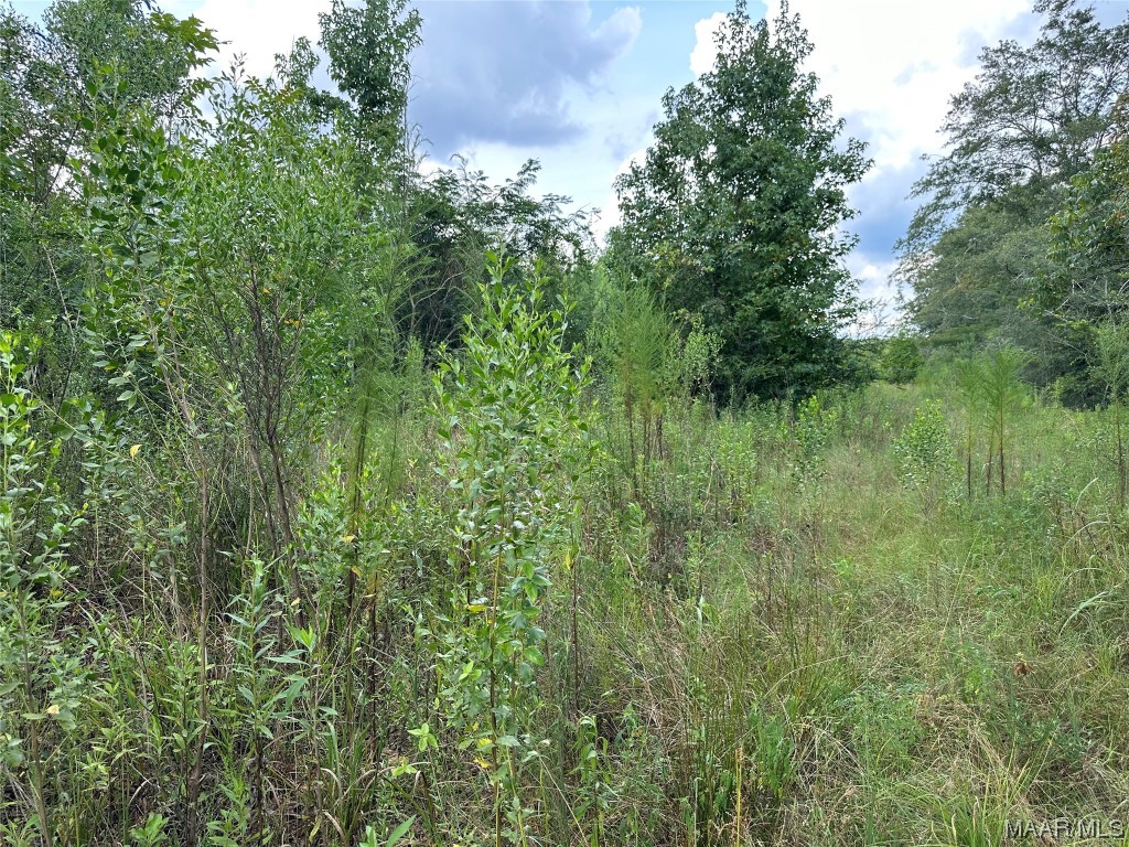 30 E Old Elba Road