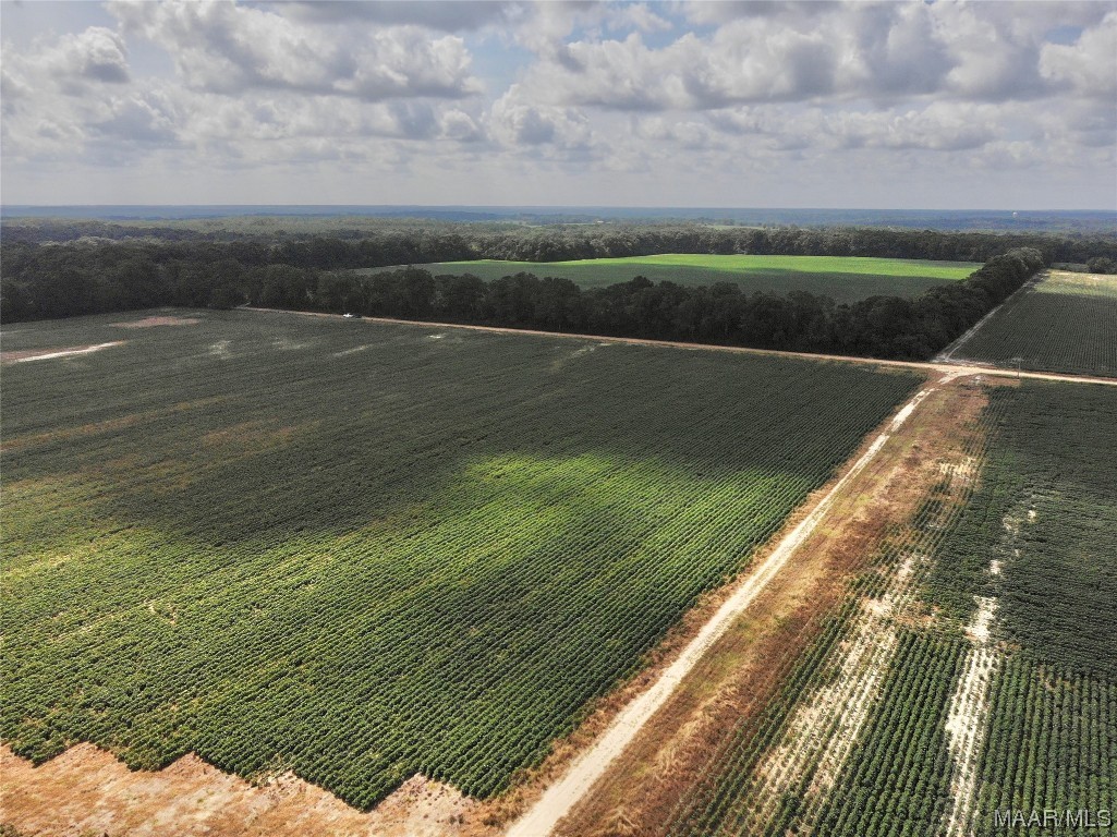 318.5acre Goose Hollow Road