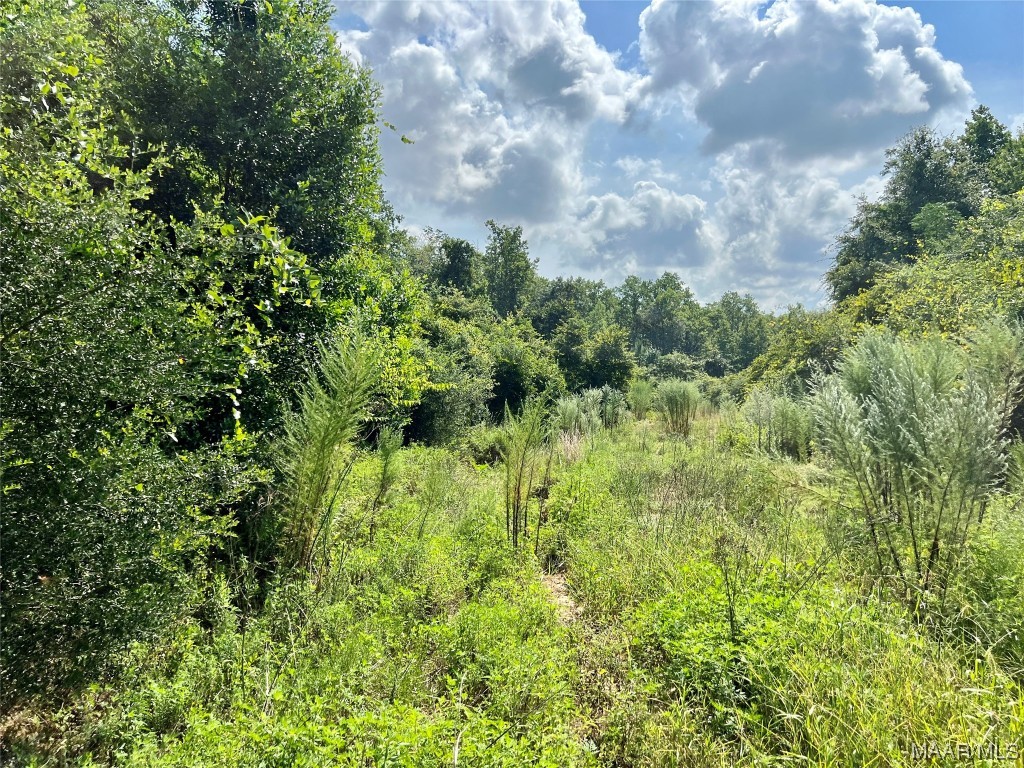 318.5acre Goose Hollow Road