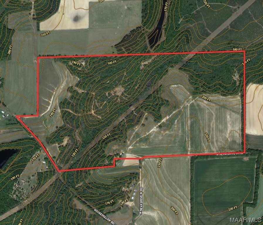 318.5acre Goose Hollow Road