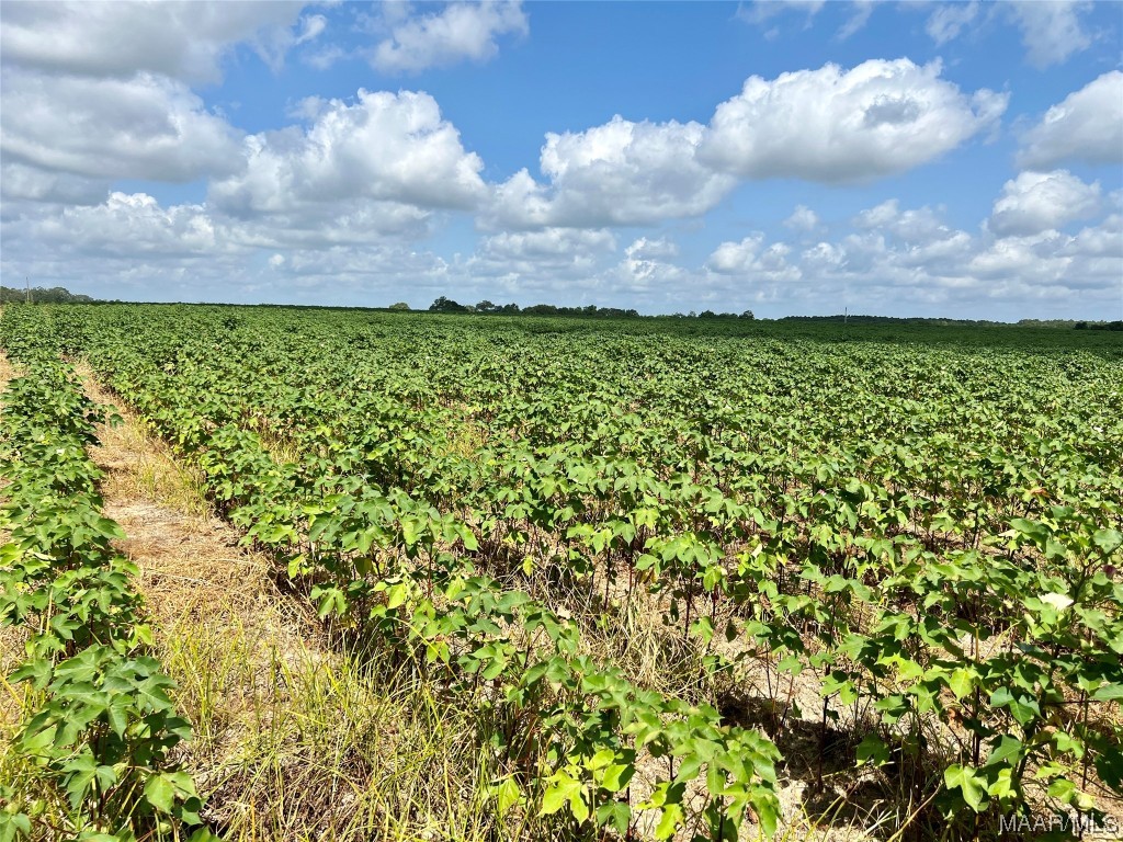 318.5acre Goose Hollow Road