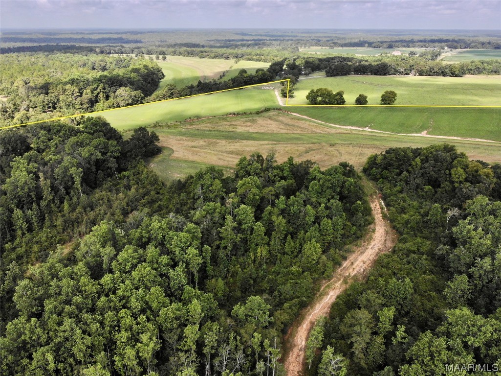 318.5acre Goose Hollow Road