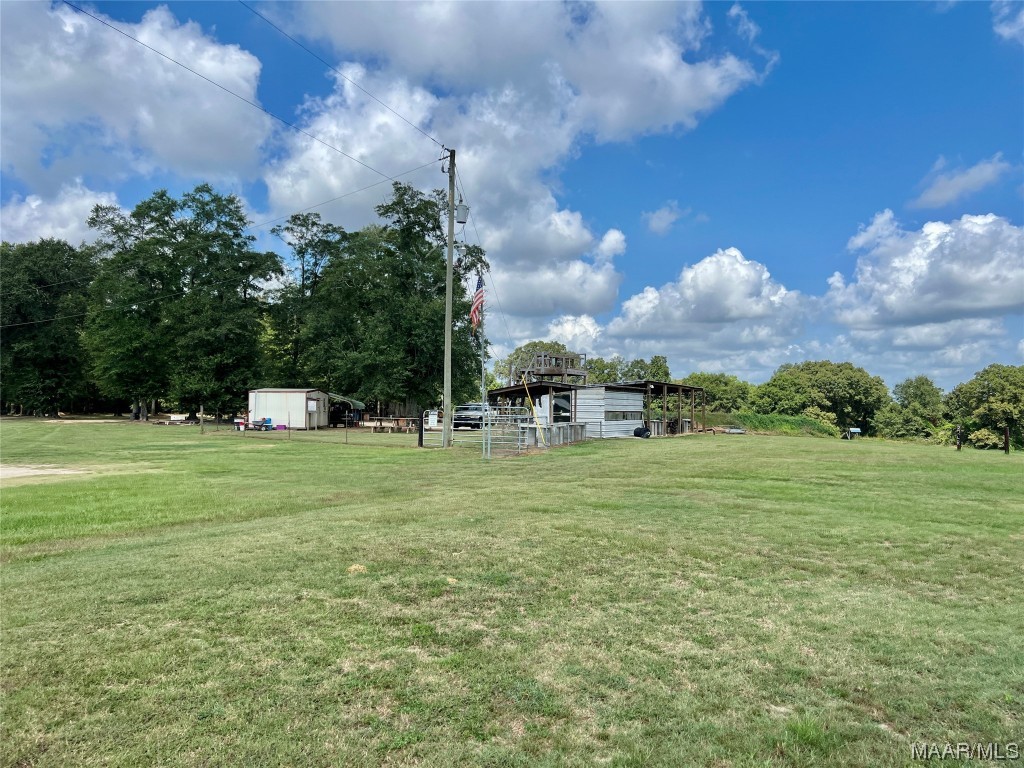 318.5acre Goose Hollow Road