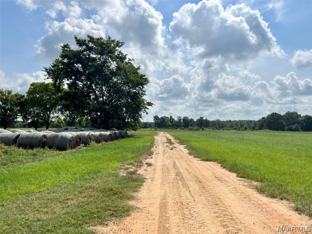 318.5acre Goose Hollow Road
