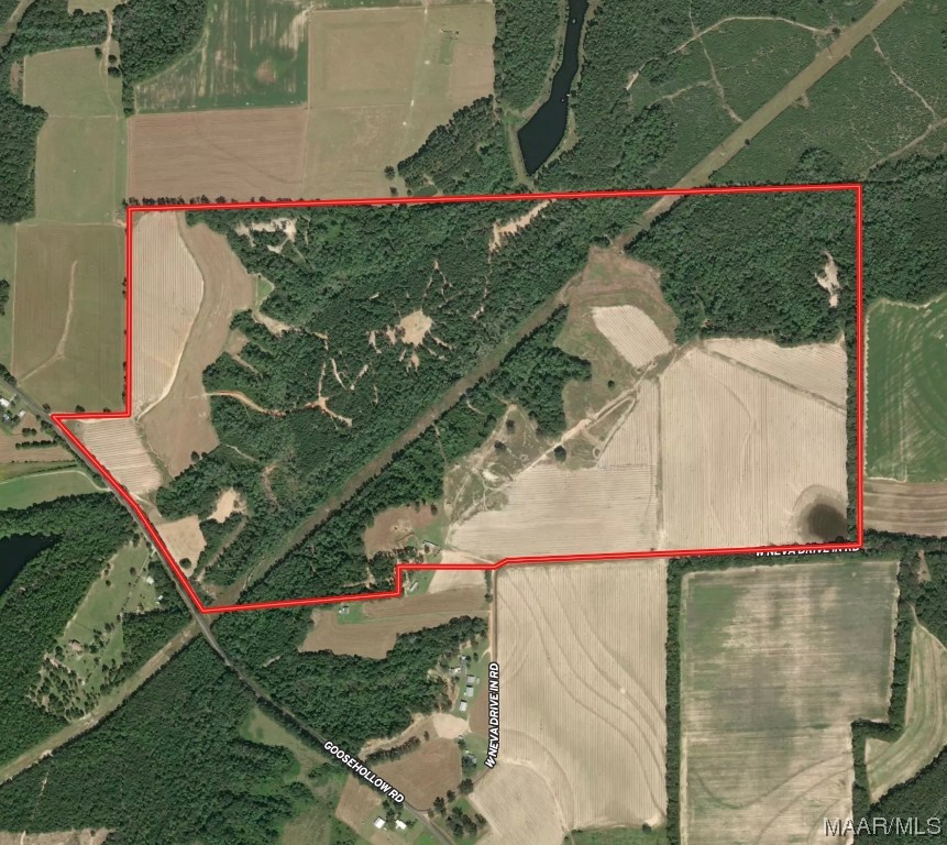 318.5acre Goose Hollow Road