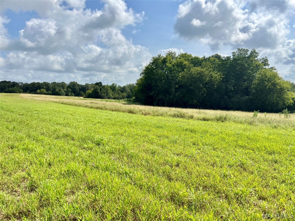 318.5acre Goose Hollow Road