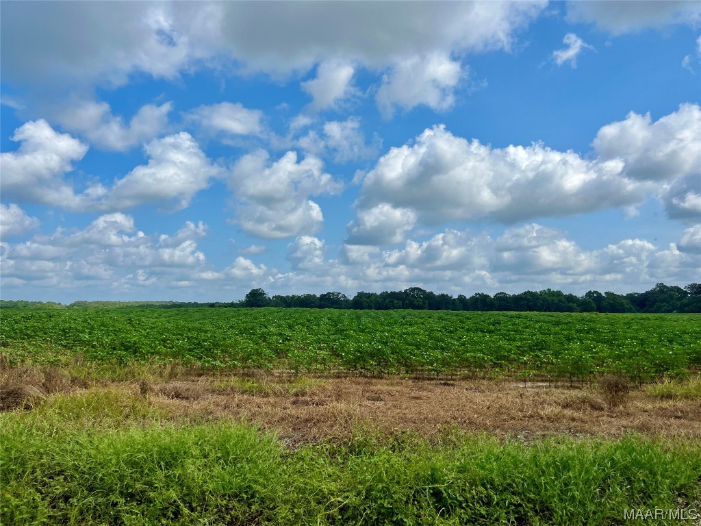 318.5acre Goose Hollow Road