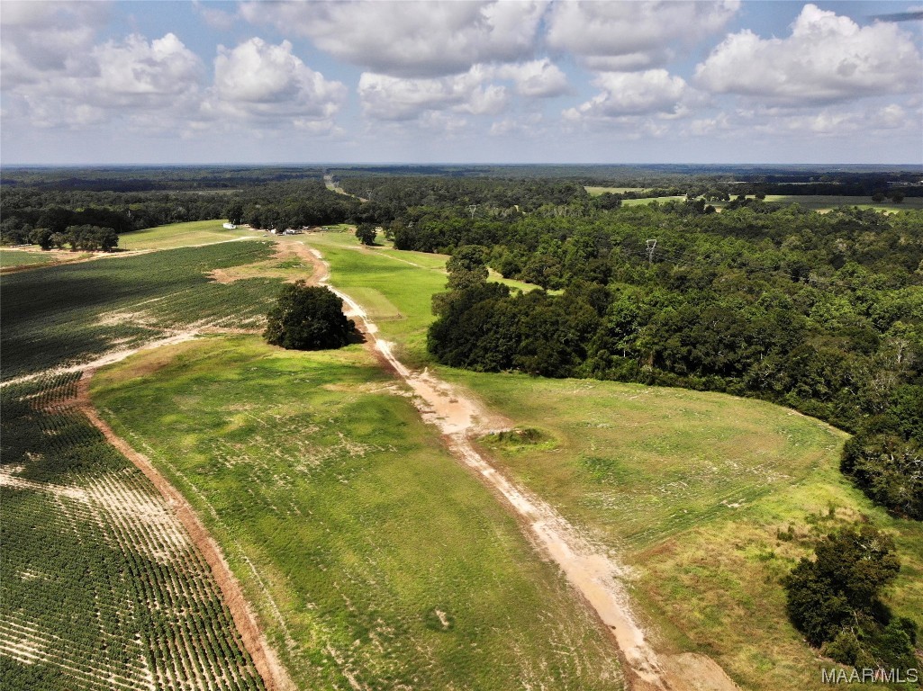 318.5acre Goose Hollow Road