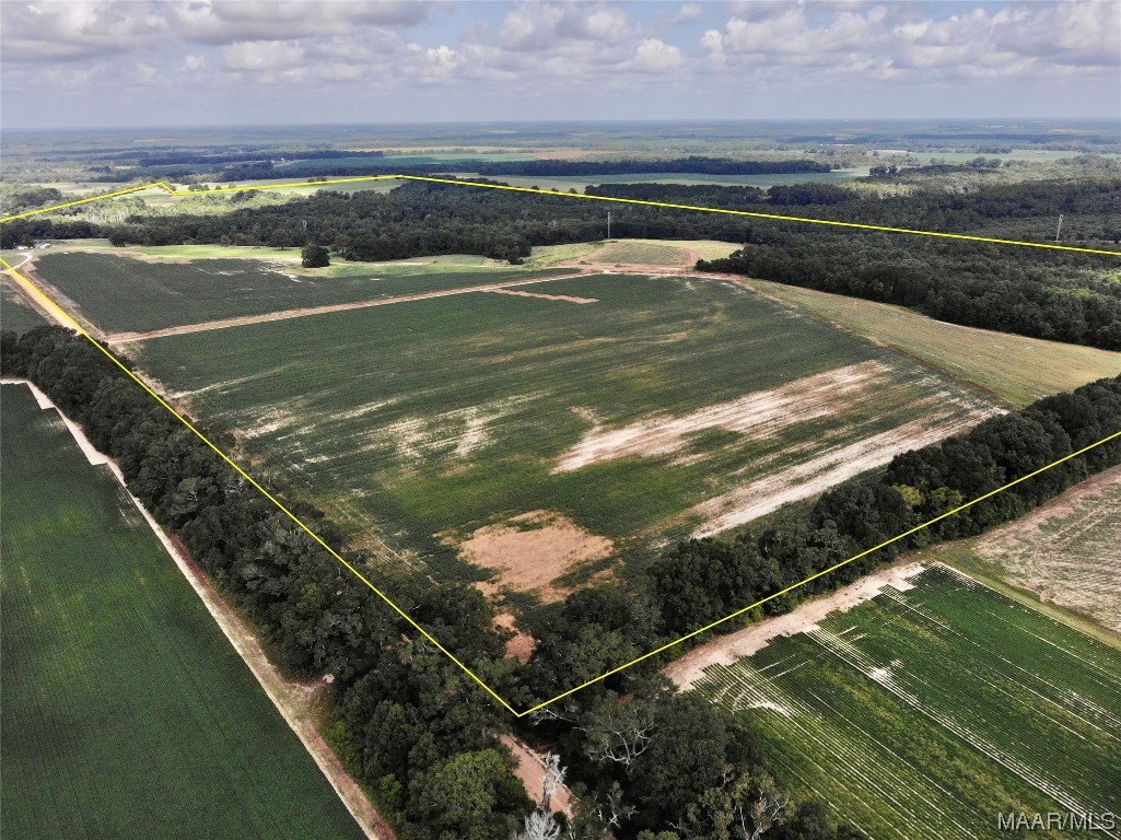 318.5acre Goose Hollow Road