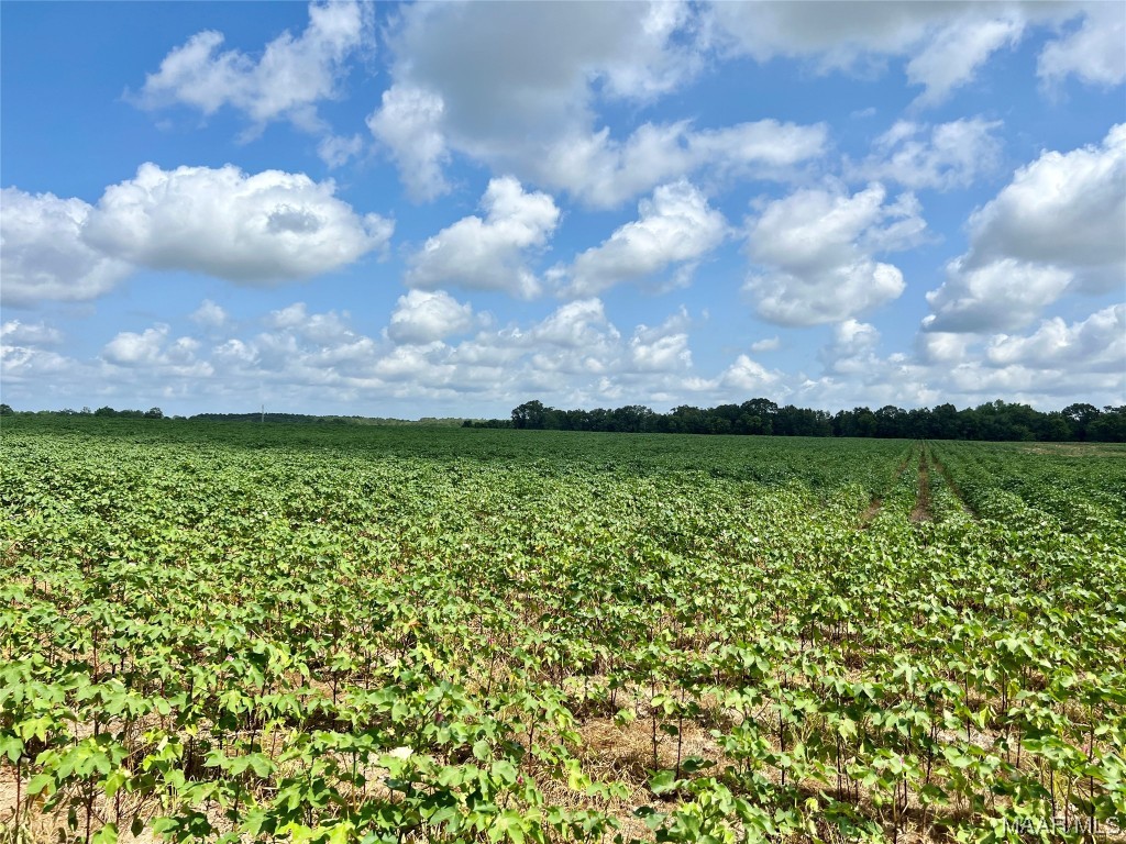 318.5acre Goose Hollow Road