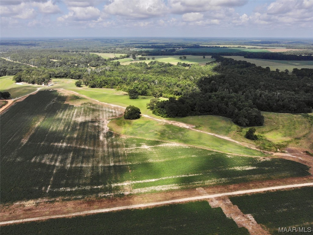 318.5acre Goose Hollow Road