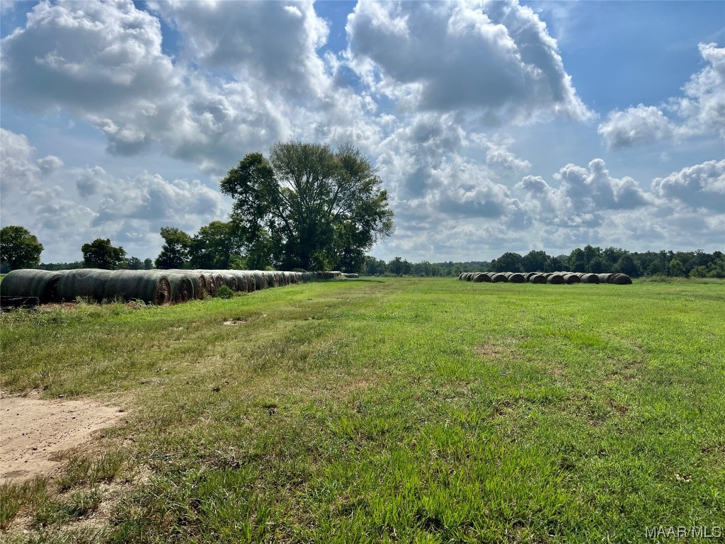 318.5acre Goose Hollow Road