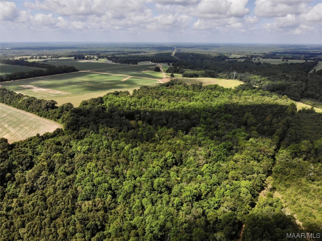 318.5acre Goose Hollow Road