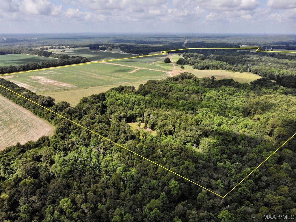 318.5acre Goose Hollow Road