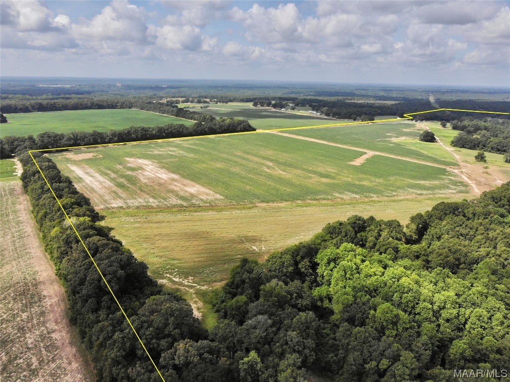 318.5acre Goose Hollow Road