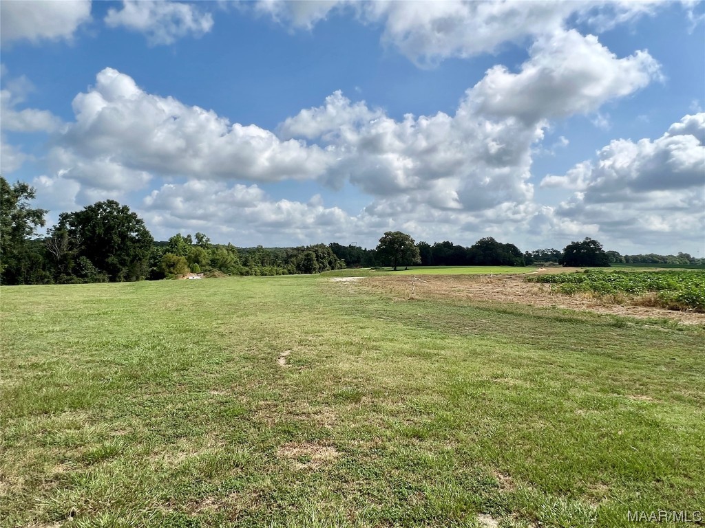 318.5acre Goose Hollow Road