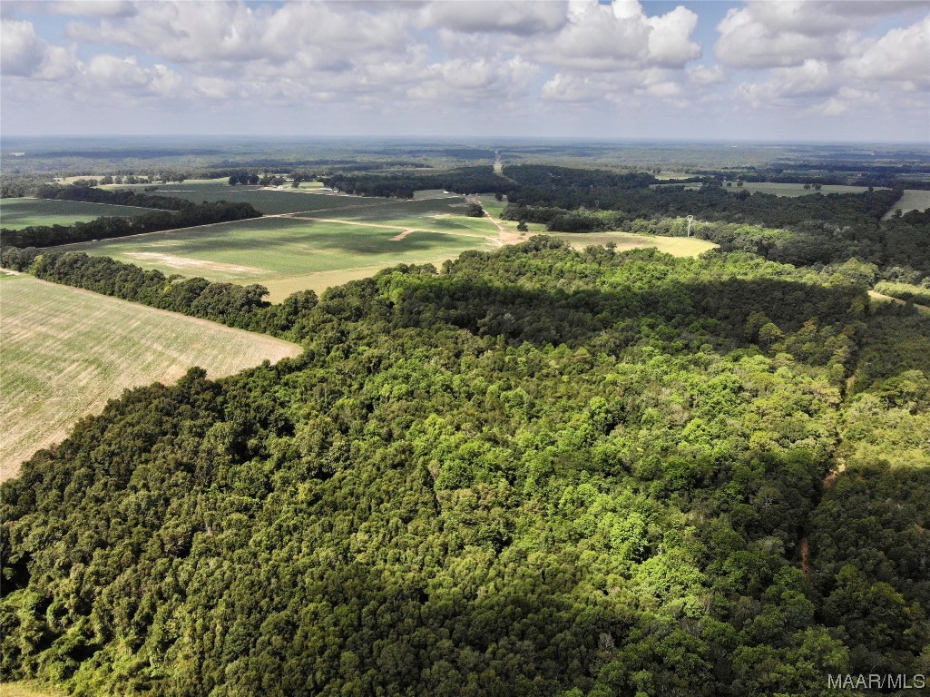 318.5acre Goose Hollow Road