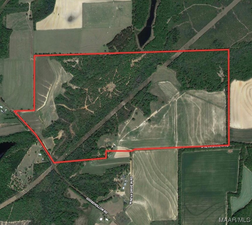 318.5acre Goose Hollow Road