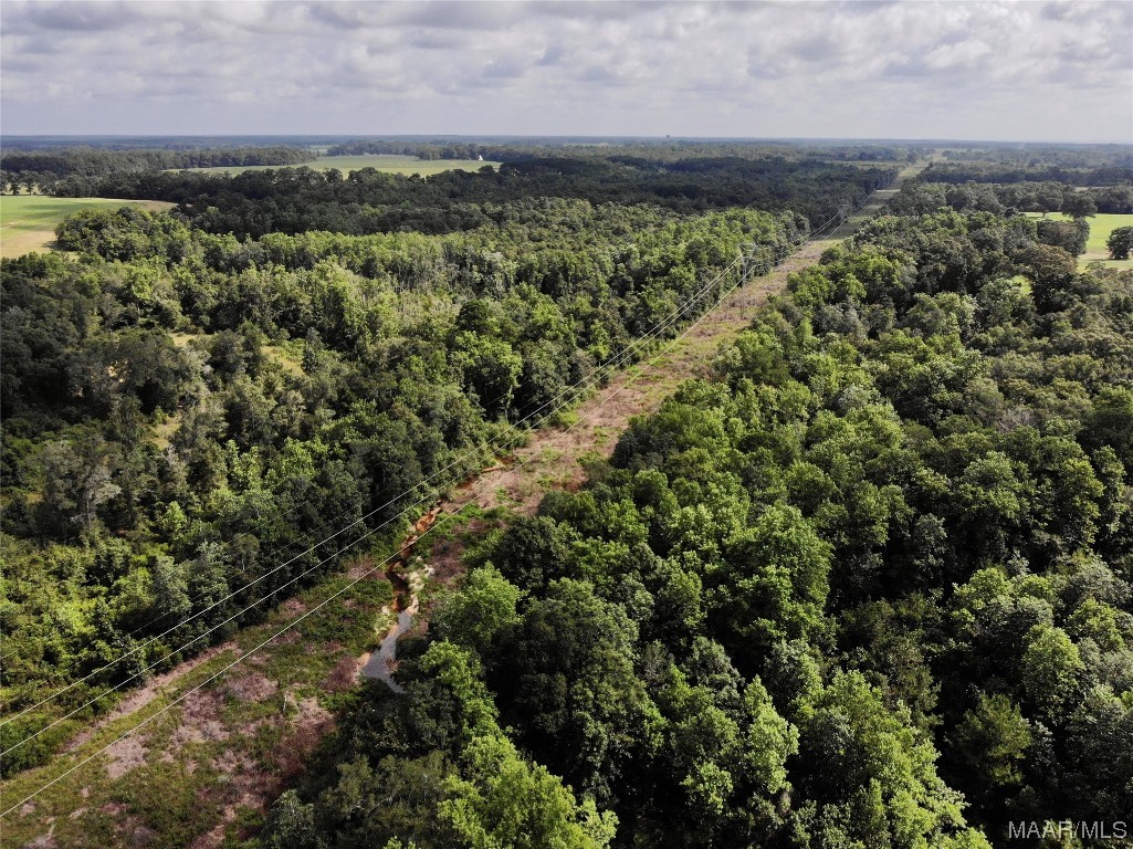 318.5acre Goose Hollow Road