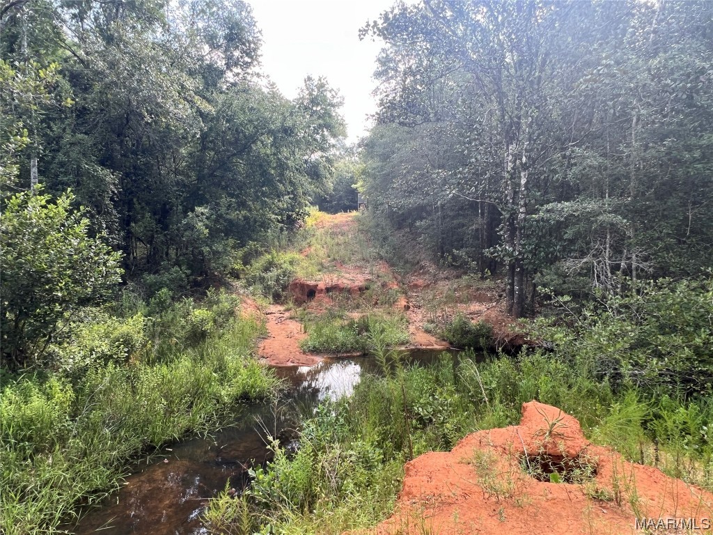 318.5acre Goose Hollow Road