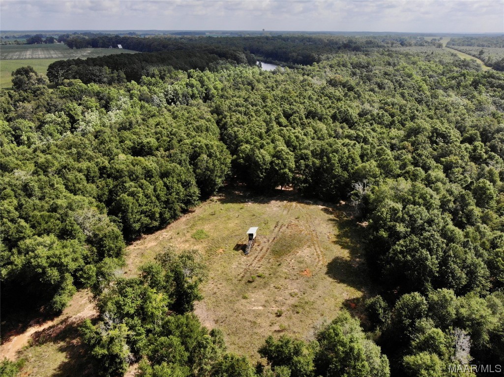 318.5acre Goose Hollow Road