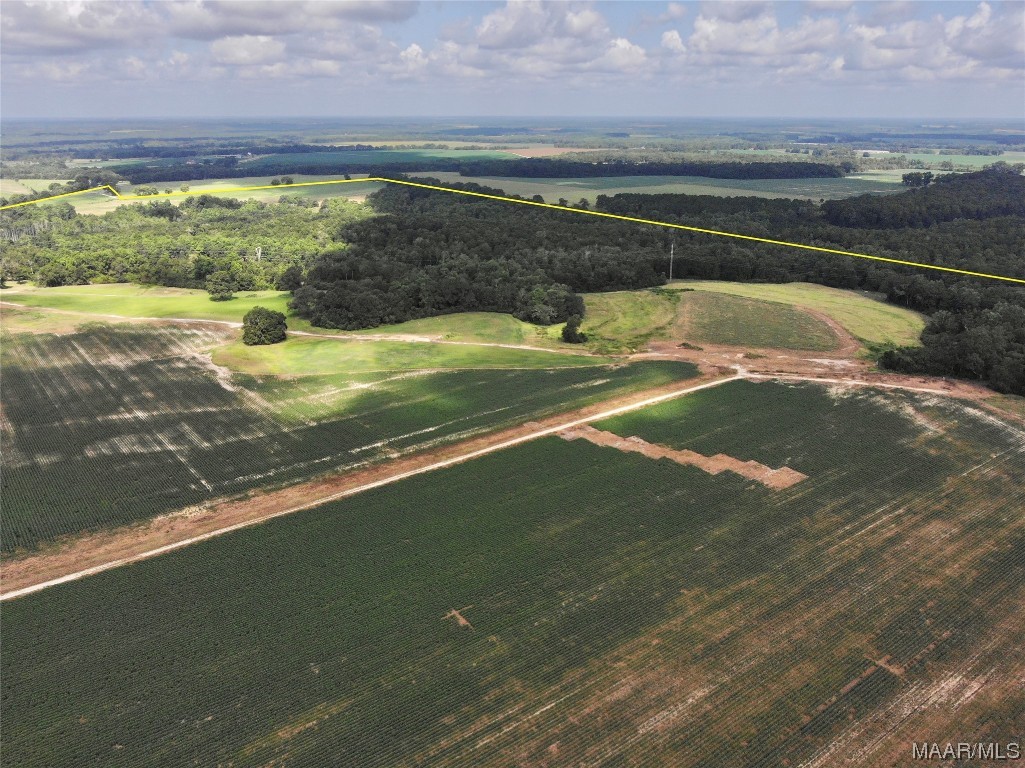 318.5acre Goose Hollow Road
