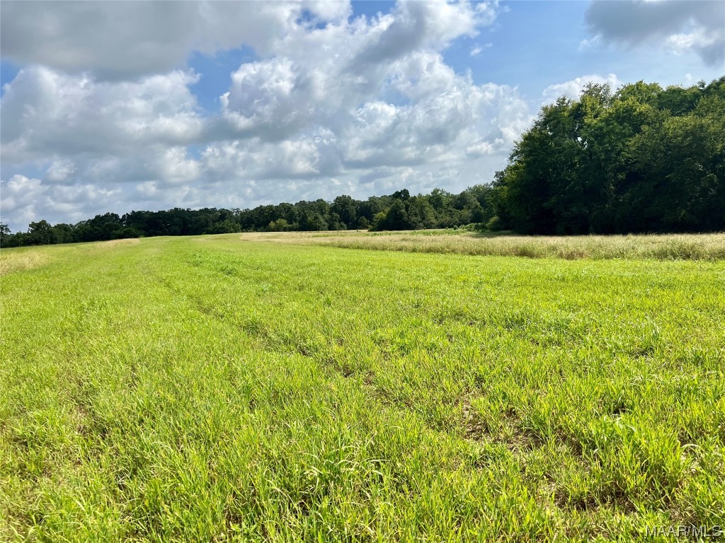 318.5acre Goose Hollow Road