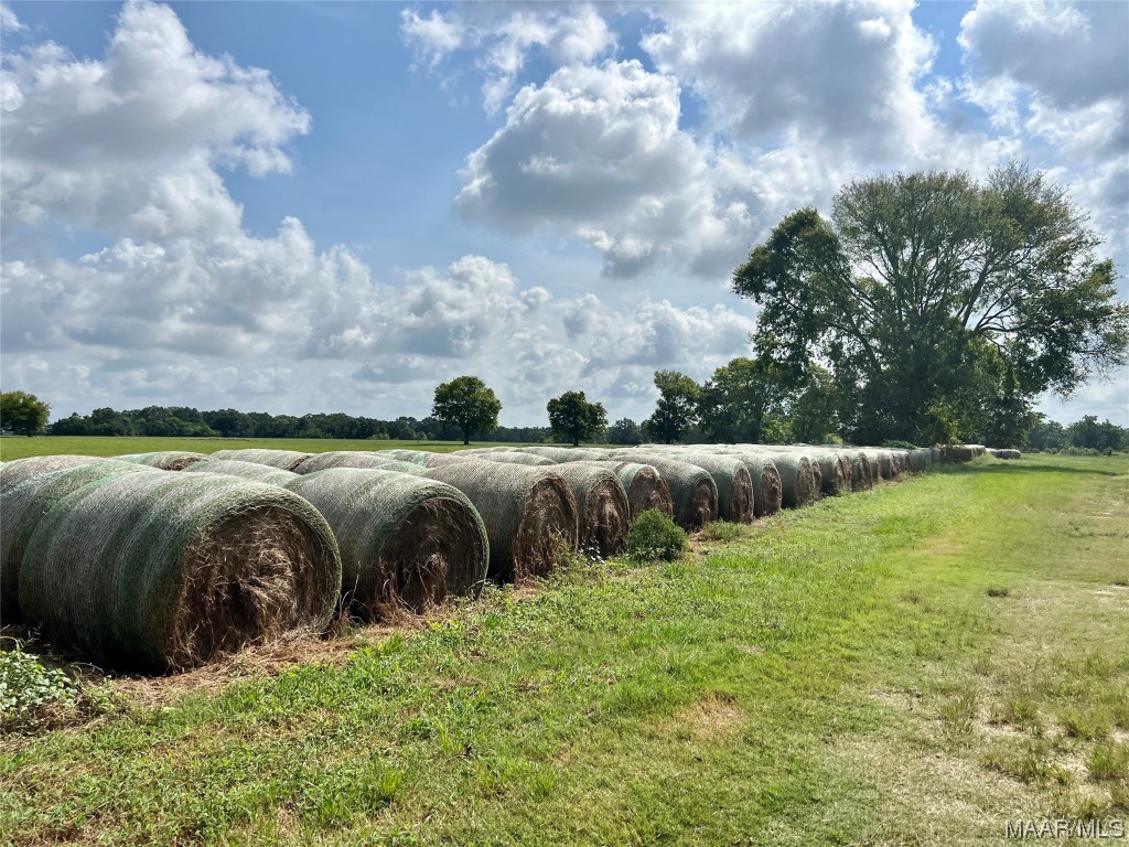 318.5acre Goose Hollow Road