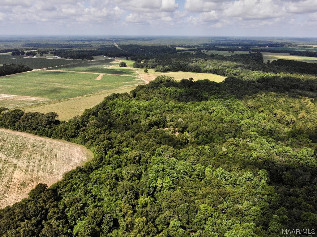 318.5acre Goose Hollow Road