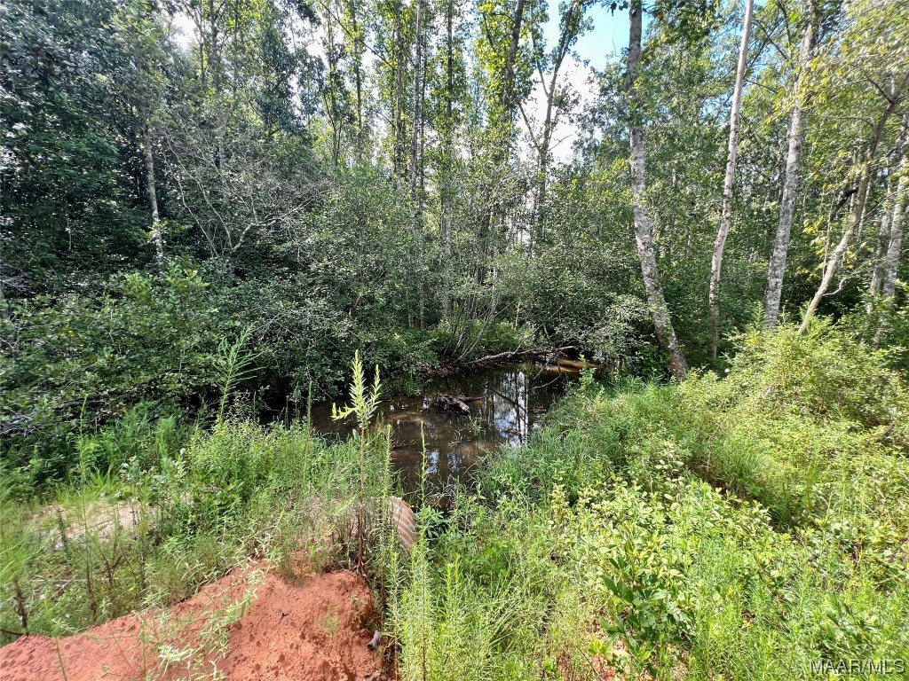 318.5acre Goose Hollow Road